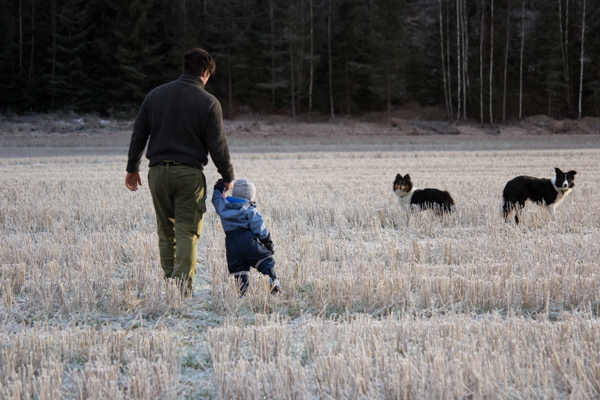 180107 - Lindemark Hundepensjonat_0003.jpg